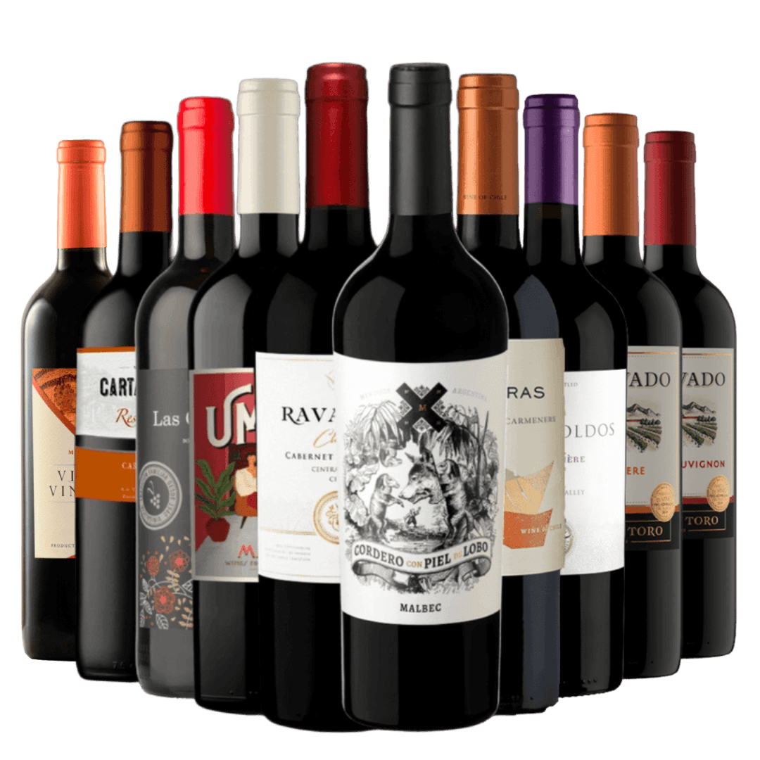 Kit 10 Vinhos Tintos Best Sellers