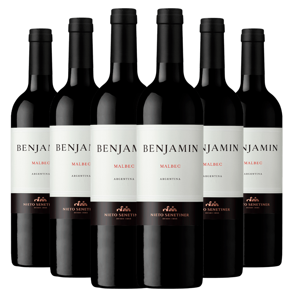 Kit Caixa Fechada 6 Vinhos Benjamin Malbec