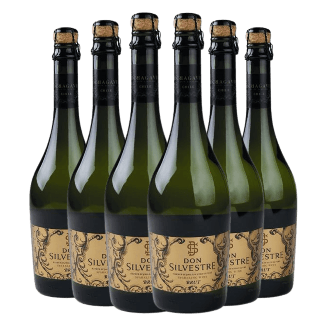 Kit 6 Espumante Don Silvestre Brut
