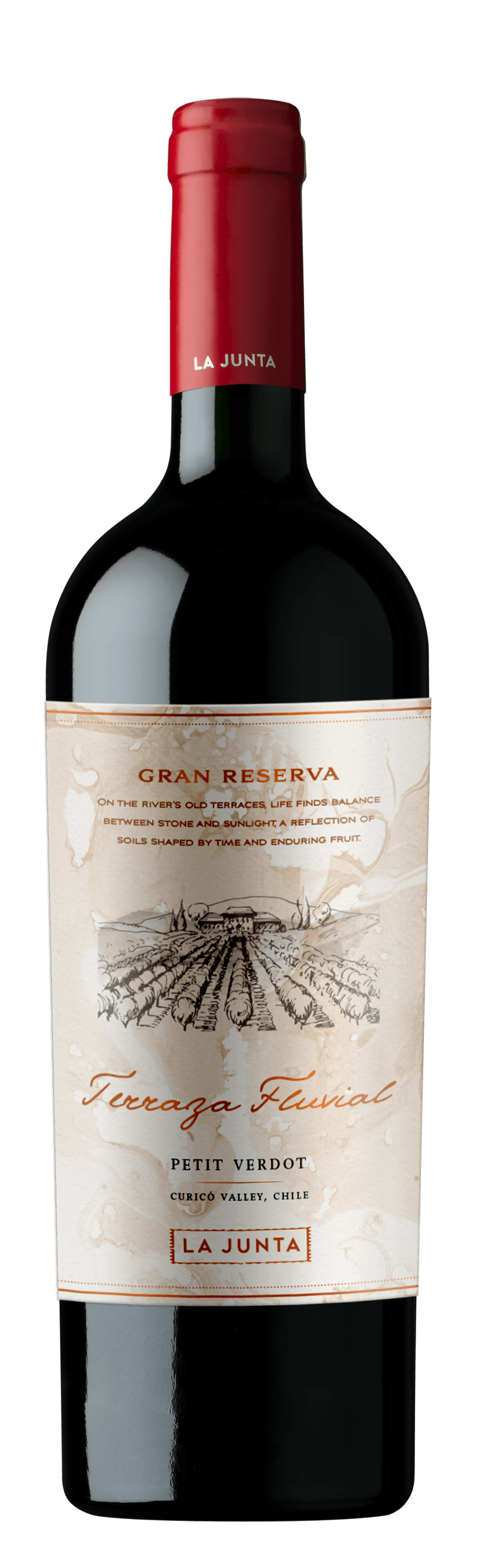 Vinho Tinto Chileno Terraza Fluvial Gran Reserva Petit Verdot