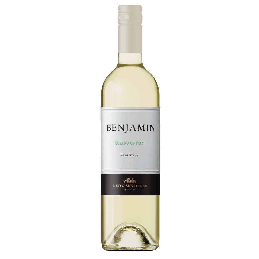 Vinho Branco Argentino Benjamin Chardonnay