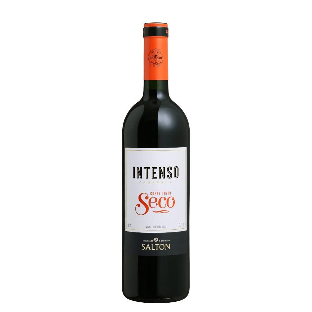 Vinho Tinto Brasileiro Salton Intenso Corte