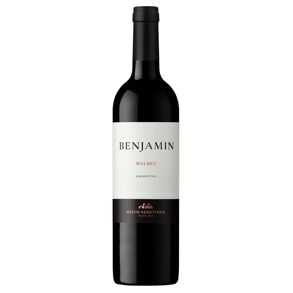 Vinho Tinto Argentino Benjamin Malbec