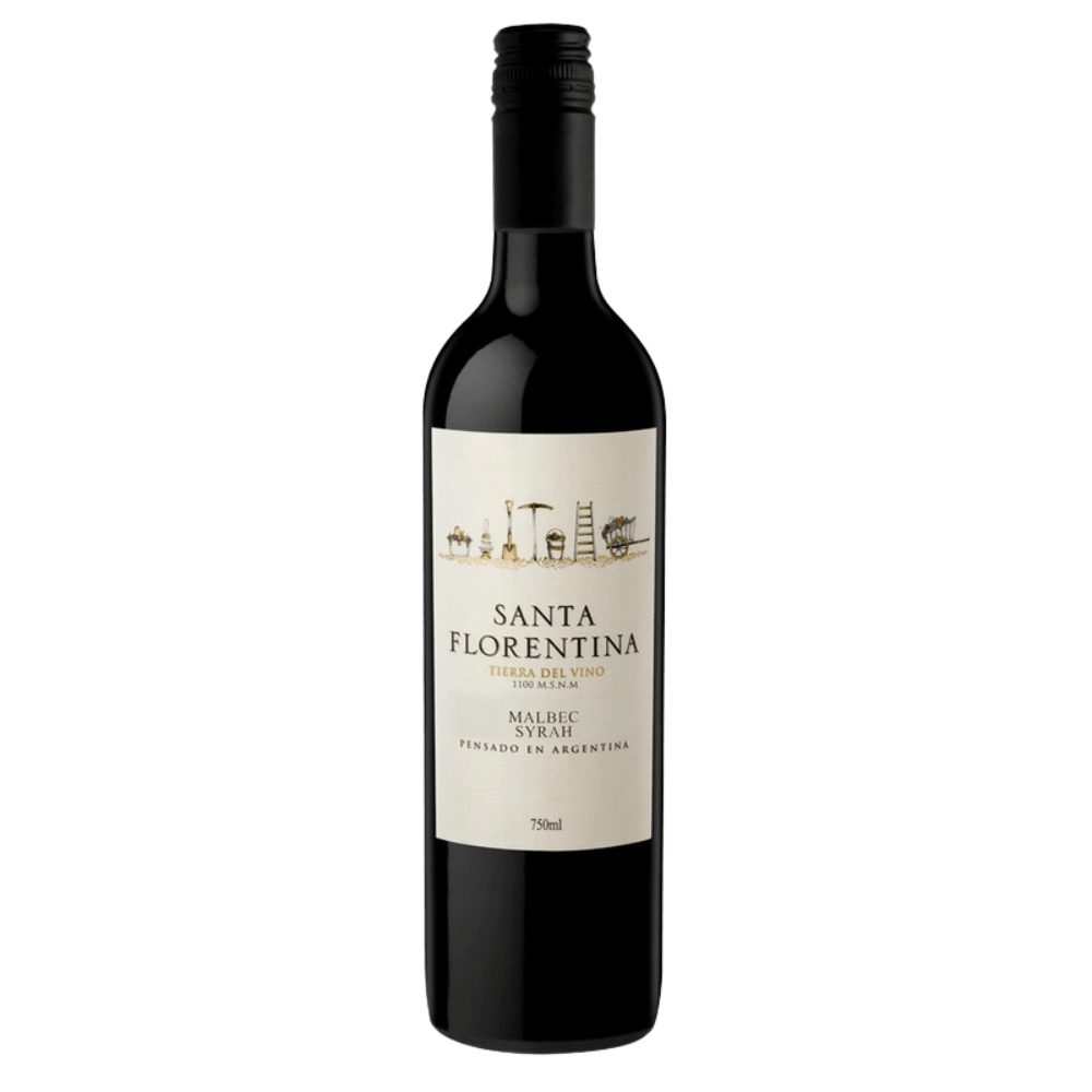 Vinho Tinto Argentino Santa Florentina Malbec Syrah