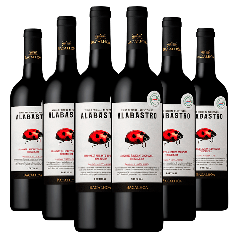 Kit 6 Garrafas Português Alabastro