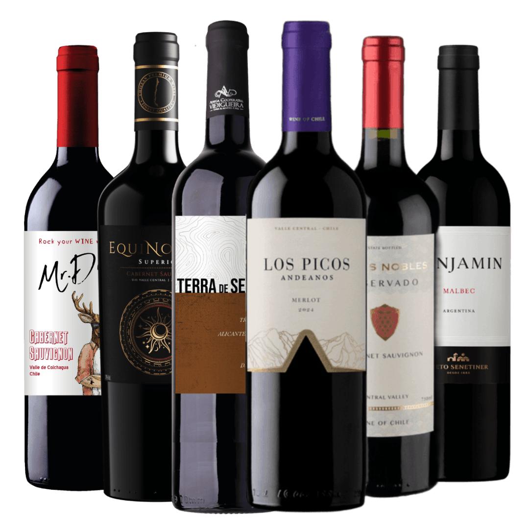 Kit 6 Vinhos Tintos Essenciais