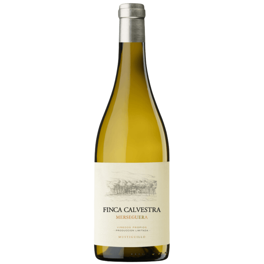 Vinho Branco Espanhol Bodega Mustiguilo Finca Calvestra Merseguera