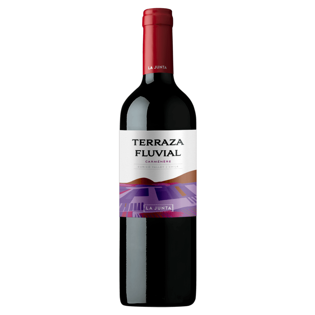 Vinho Tinto Chileno Terraza Fluvial Carménère