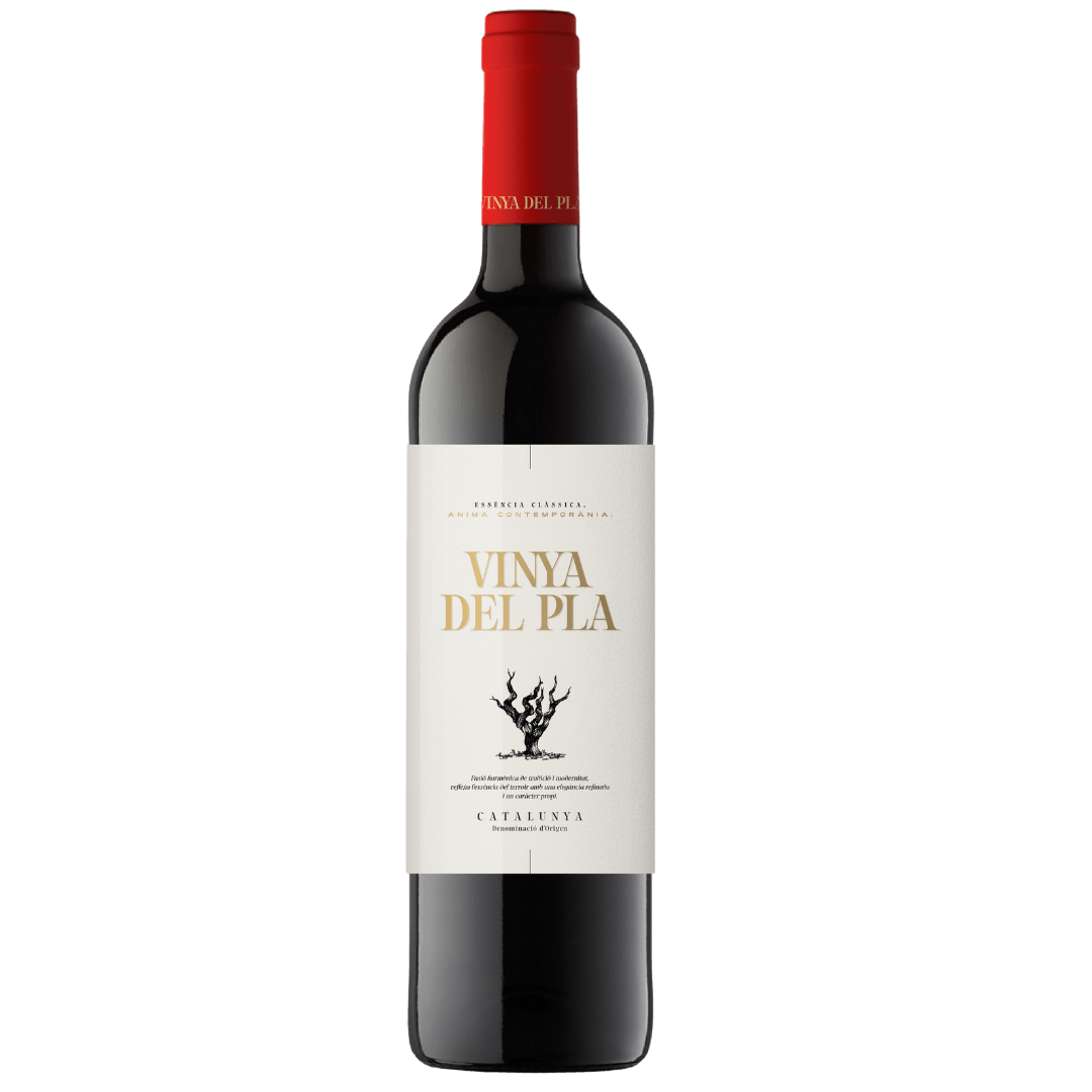 Vinho Tinto Espanhol Vinya Del Pla Catalunha
